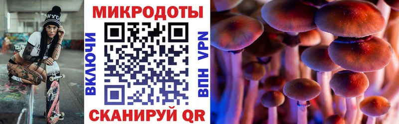 Галлюциногенные грибы Cubensis  где купить наркоту  Лермонтов 