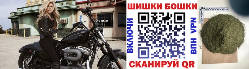 Бошки марихуана THC 21%  где можно купить   Лермонтов 